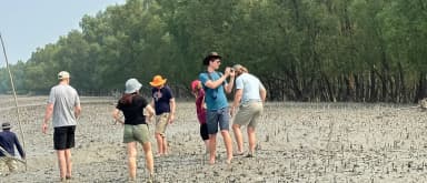 Travelers walking across a muddy mangrove area in the Sundarbans